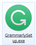 grammarly set up exe